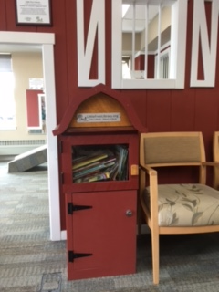 Mille Lacs Health System - Little Free Library